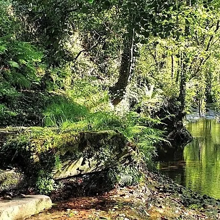 Molino De Yera
