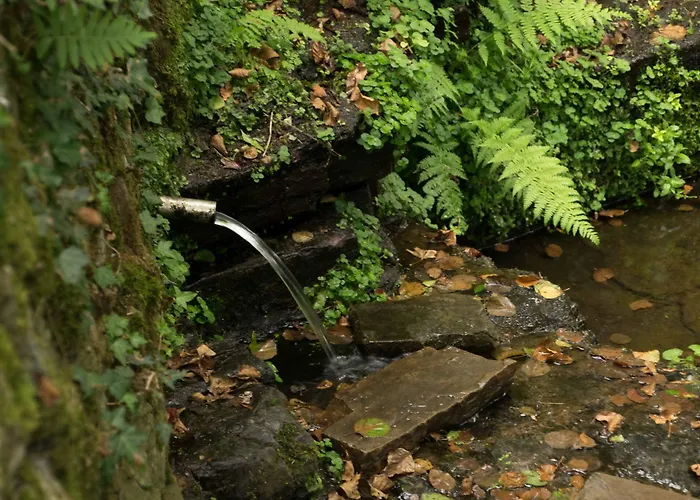 Hotel Molino De Yera Vega de Pas